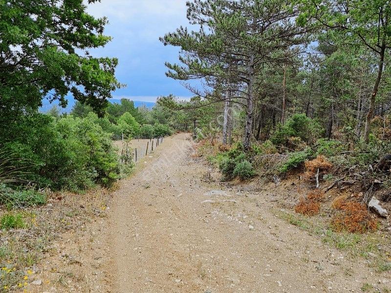 16.500 Metre Taraklı Mahtumlar Köyünde Fırsat Arazi — fotoğraf 4