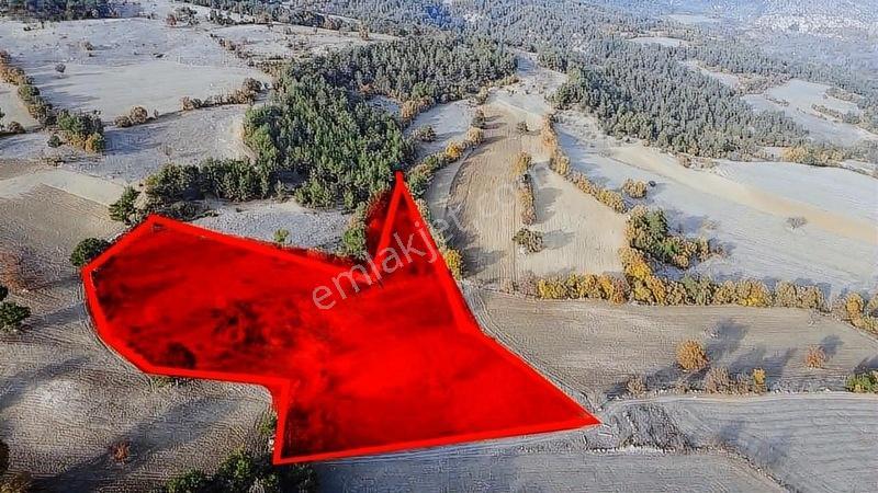 16.500 Metre Taraklı Mahtumlar Köyünde Fırsat Arazi — fotoğraf 5