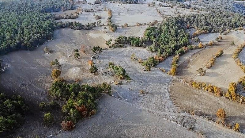 16.500 Metre Taraklı Mahtumlar Köyünde Fırsat Arazi — fotoğraf 6