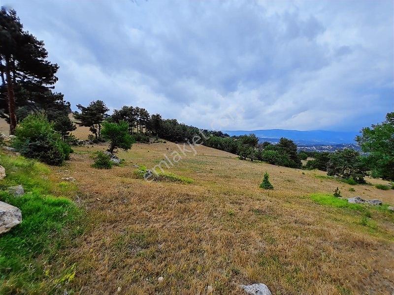 16.500 Metre Taraklı Mahtumlar Köyünde Fırsat Arazi — fotoğraf 12