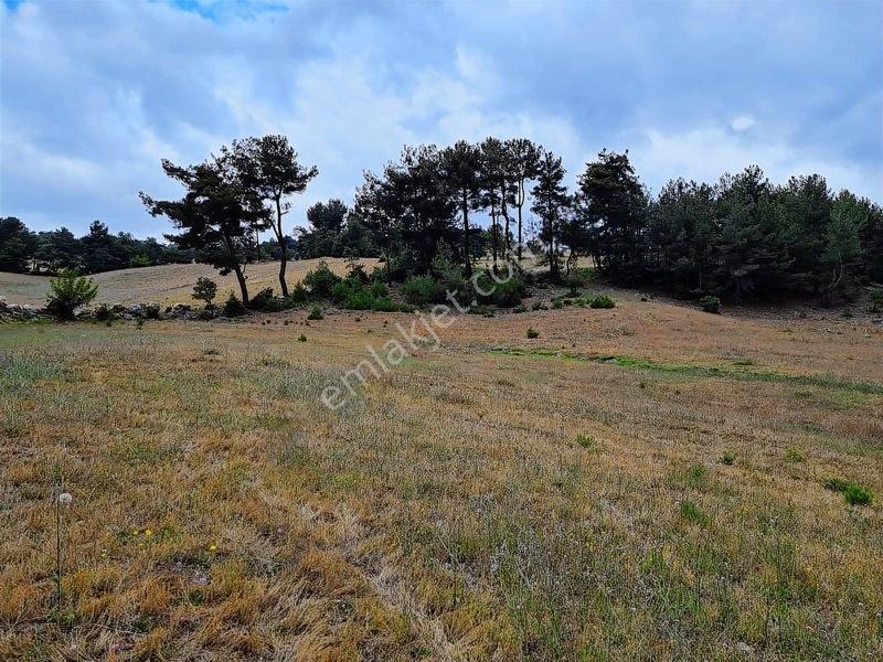 16.500 Metre Taraklı Mahtumlar Köyünde Fırsat Arazi — fotoğraf 17
