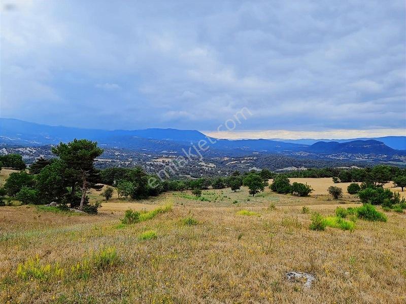 16.500 Metre Taraklı Mahtumlar Köyünde Fırsat Arazi — fotoğraf 19
