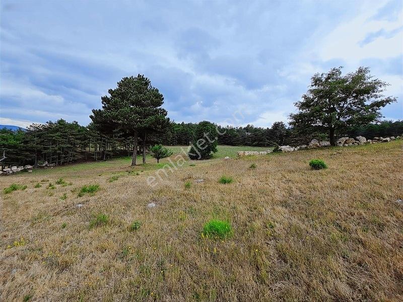 16.500 Metre Taraklı Mahtumlar Köyünde Fırsat Arazi — fotoğraf 26