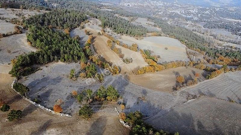 16.500 Metre Taraklı Mahtumlar Köyünde Fırsat Arazi — fotoğraf 29