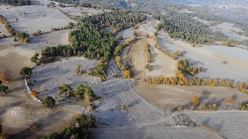 16.500 Metre Taraklı Mahtumlar Köyünde Fırsat Arazi — fotoğraf 31