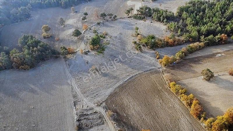 16.500 Metre Taraklı Mahtumlar Köyünde Fırsat Arazi — fotoğraf 32