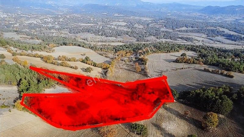 16.500 Metre Taraklı Mahtumlar Köyünde Fırsat Arazi — fotoğraf 33