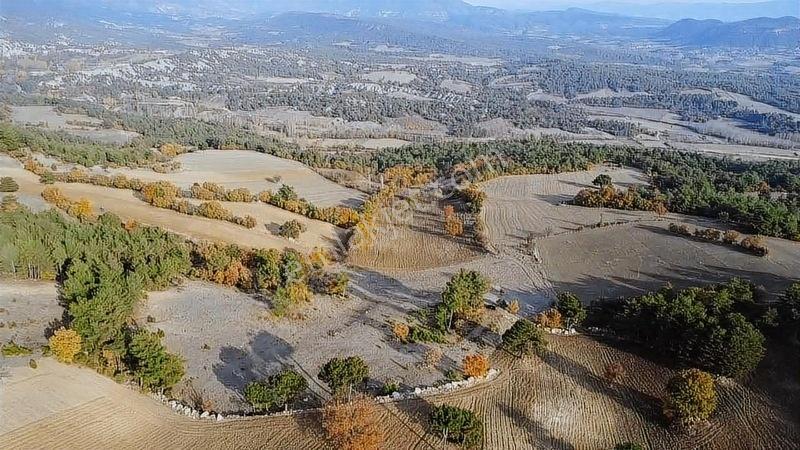 16.500 Metre Taraklı Mahtumlar Köyünde Fırsat Arazi — fotoğraf 34