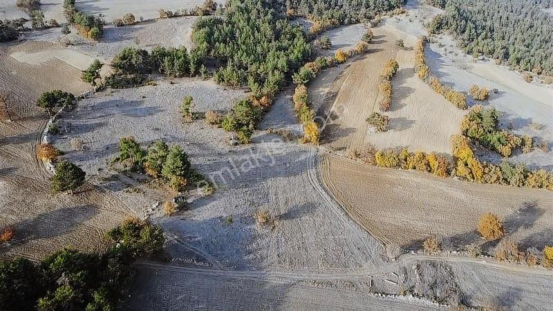 16.500 Metre Taraklı Mahtumlar Köyünde Fırsat Arazi — fotoğraf 35