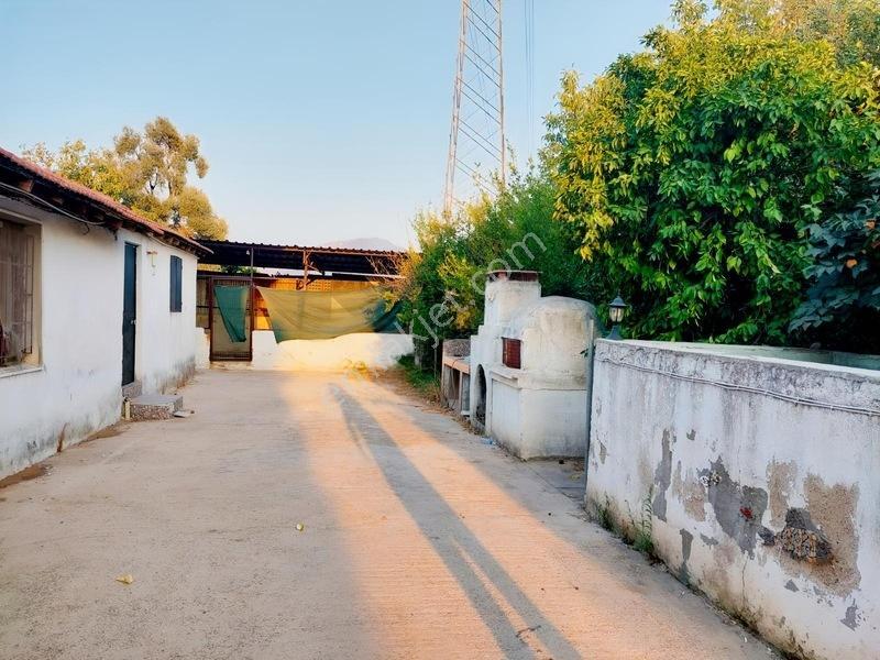 My - Hayıtlı Mah İçerisinde Ev Olan Çiftlik Arazisi — fotoğraf 2