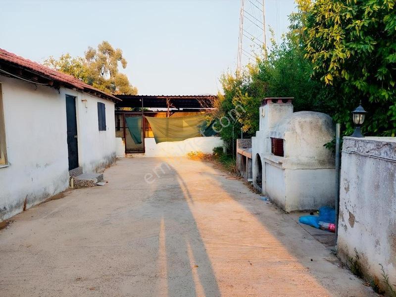 My - Hayıtlı Mah İçerisinde Ev Olan Çiftlik Arazisi — fotoğraf 3