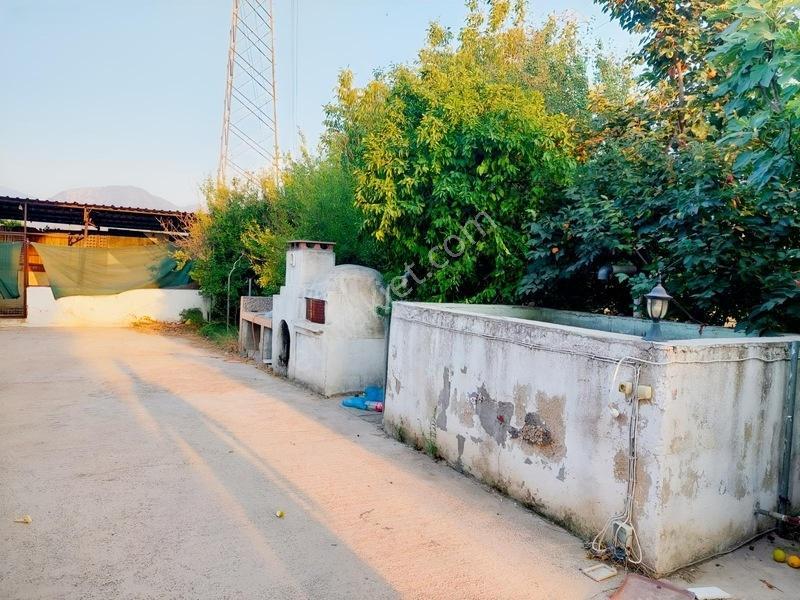 My - Hayıtlı Mah İçerisinde Ev Olan Çiftlik Arazisi — fotoğraf 4