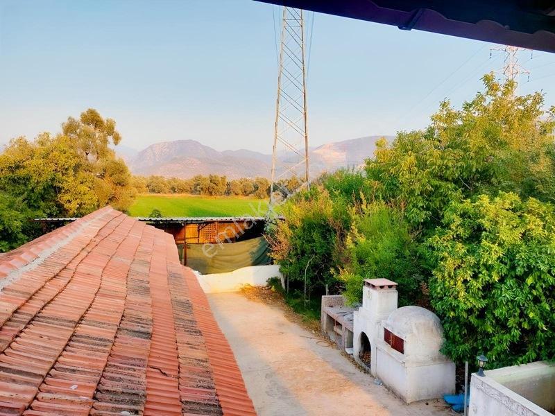 My - Hayıtlı Mah İçerisinde Ev Olan Çiftlik Arazisi — fotoğraf 7