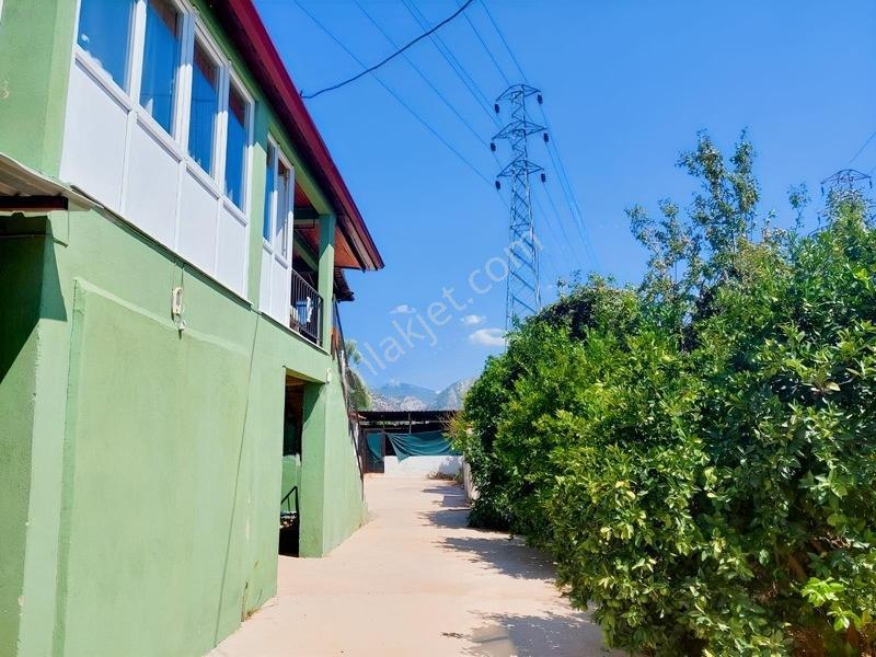 My - Hayıtlı Mah İçerisinde Ev Olan Çiftlik Arazisi — fotoğraf 8