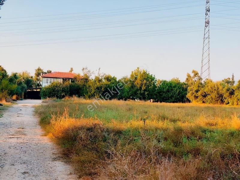 My - Hayıtlı Mah İçerisinde Ev Olan Çiftlik Arazisi — fotoğraf 10