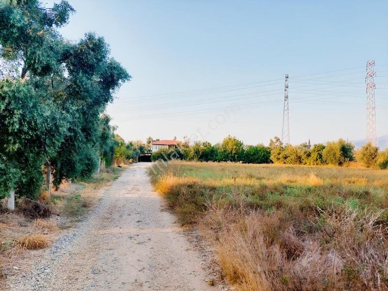 My - Hayıtlı Mah İçerisinde Ev Olan Çiftlik Arazisi — fotoğraf 11