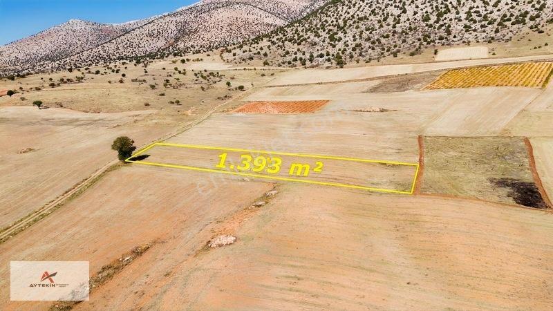 Yola Sıfır 1.393 M² Müstakil Tarla! Karaman Kızılyaka'da Yatırım — fotoğraf 2