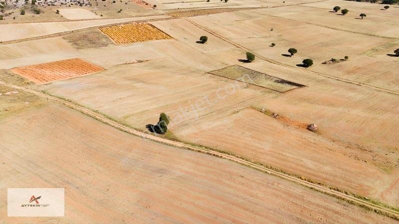 Yola Sıfır 1.393 M² Müstakil Tarla! Karaman Kızılyaka'da Yatırım — fotoğraf 9