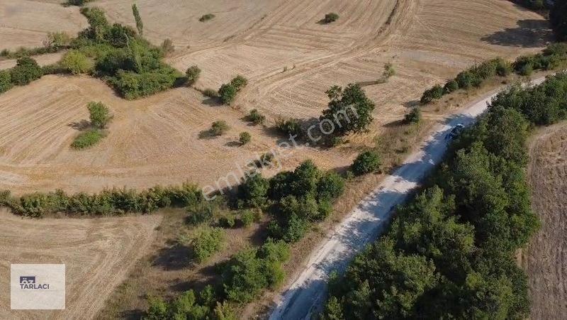 Öztarlacıdan Fırsat Fiyat Asfalt Cepheli 9.300 M² Marjinal Arazi — fotoğraf 3