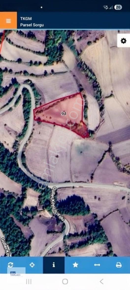 Öztarlacıdan Fırsat Fiyat Asfalt Cepheli 9.300 M² Marjinal Arazi — fotoğraf 4