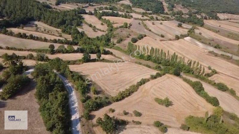 Öztarlacıdan Fırsat Fiyat Asfalt Cepheli 9.300 M² Marjinal Arazi — fotoğraf 5