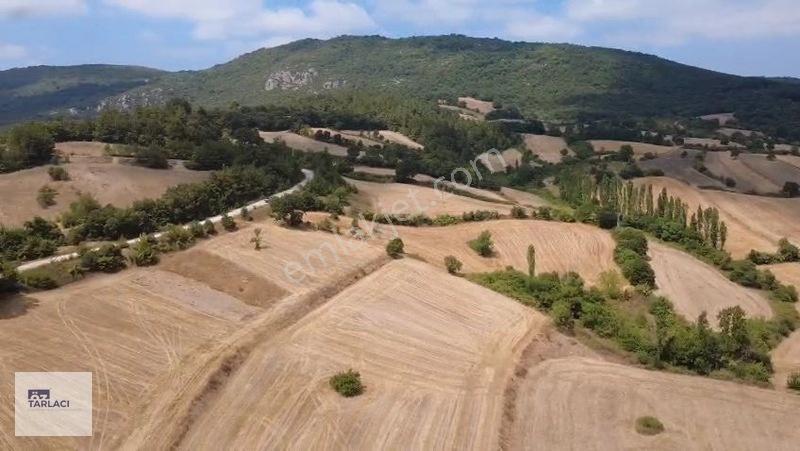 Öztarlacıdan Fırsat Fiyat Asfalt Cepheli 9.300 M² Marjinal Arazi — fotoğraf 6