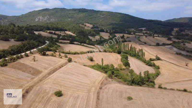 Öztarlacıdan Fırsat Fiyat Asfalt Cepheli 9.300 M² Marjinal Arazi — fotoğraf 7