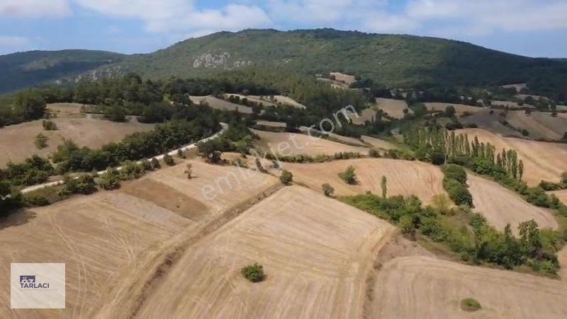 Öztarlacıdan Fırsat Fiyat Asfalt Cepheli 9.300 M² Marjinal Arazi — fotoğraf 11