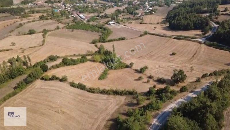 Öztarlacıdan Fırsat Fiyat Asfalt Cepheli 9.300 M² Marjinal Arazi — fotoğraf 14