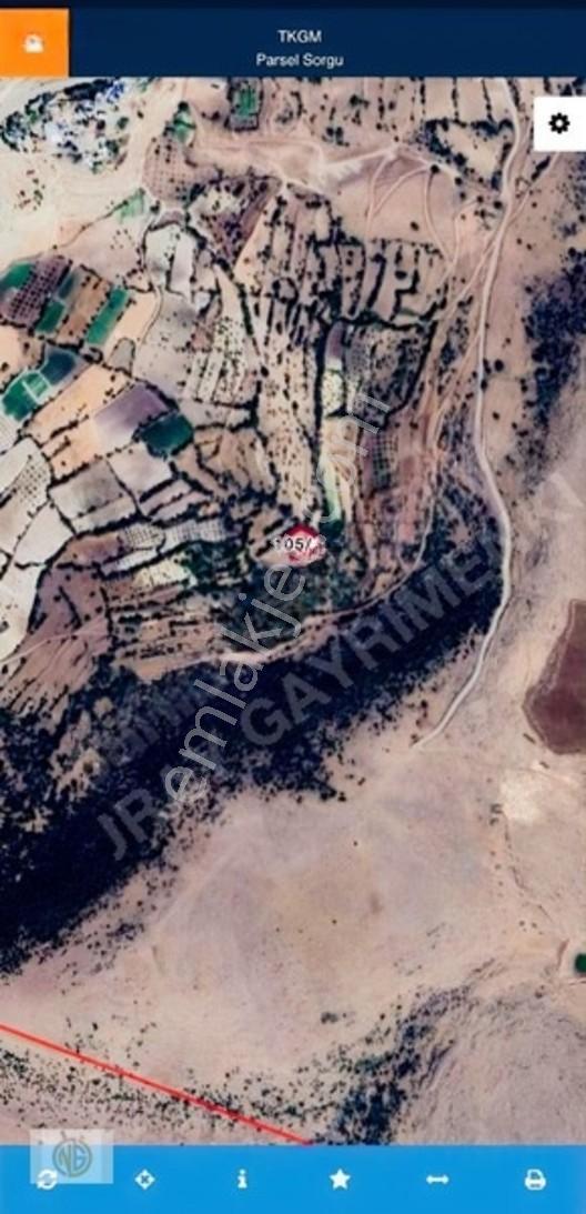 Kilis Gökmusada 1660 Metre Tarla — fotoğraf 2