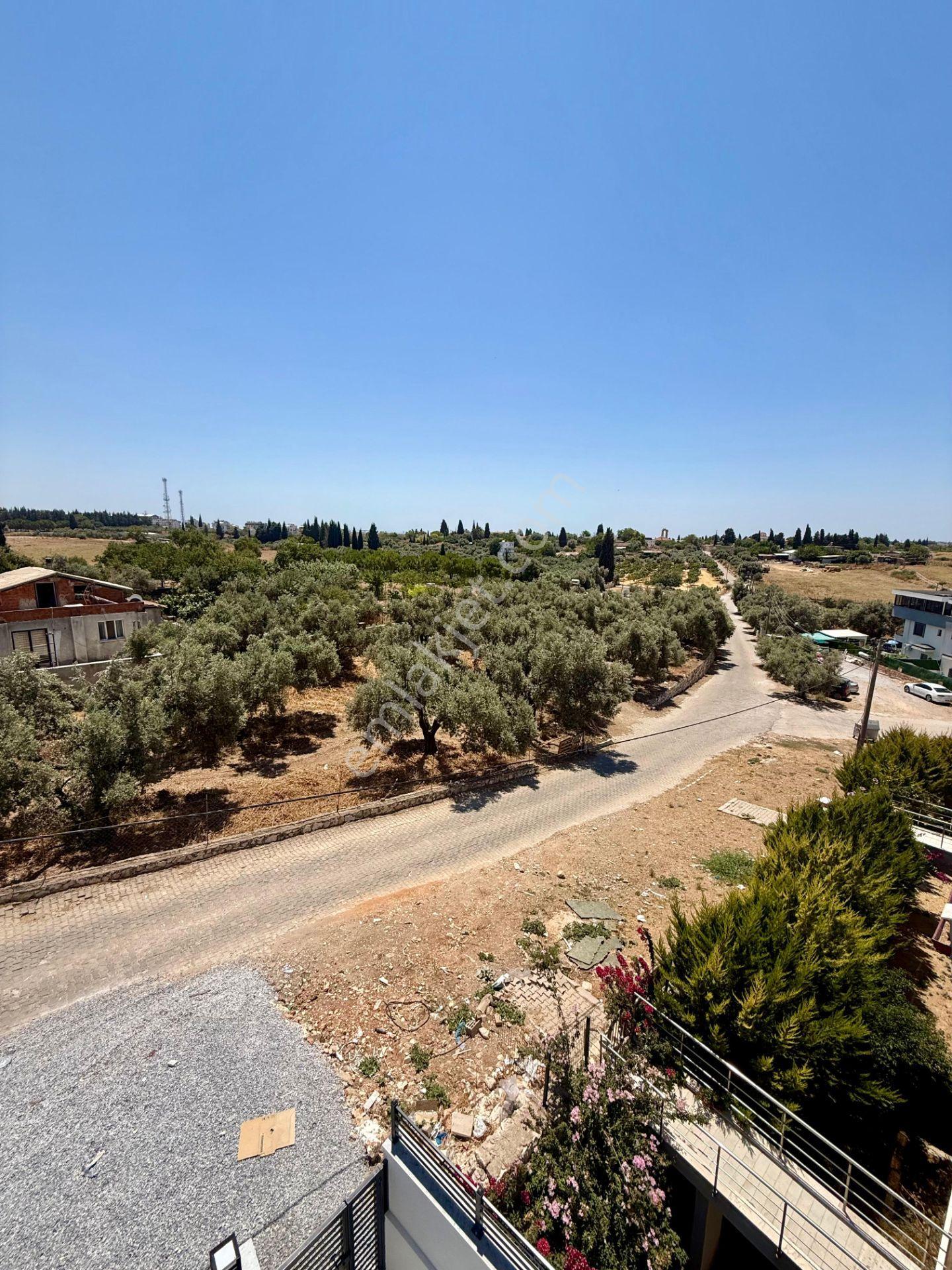Büyük Ailelere Özel Dev Gibi Havuzlu Ve Bahçeli Lüks Villa — fotoğraf 21