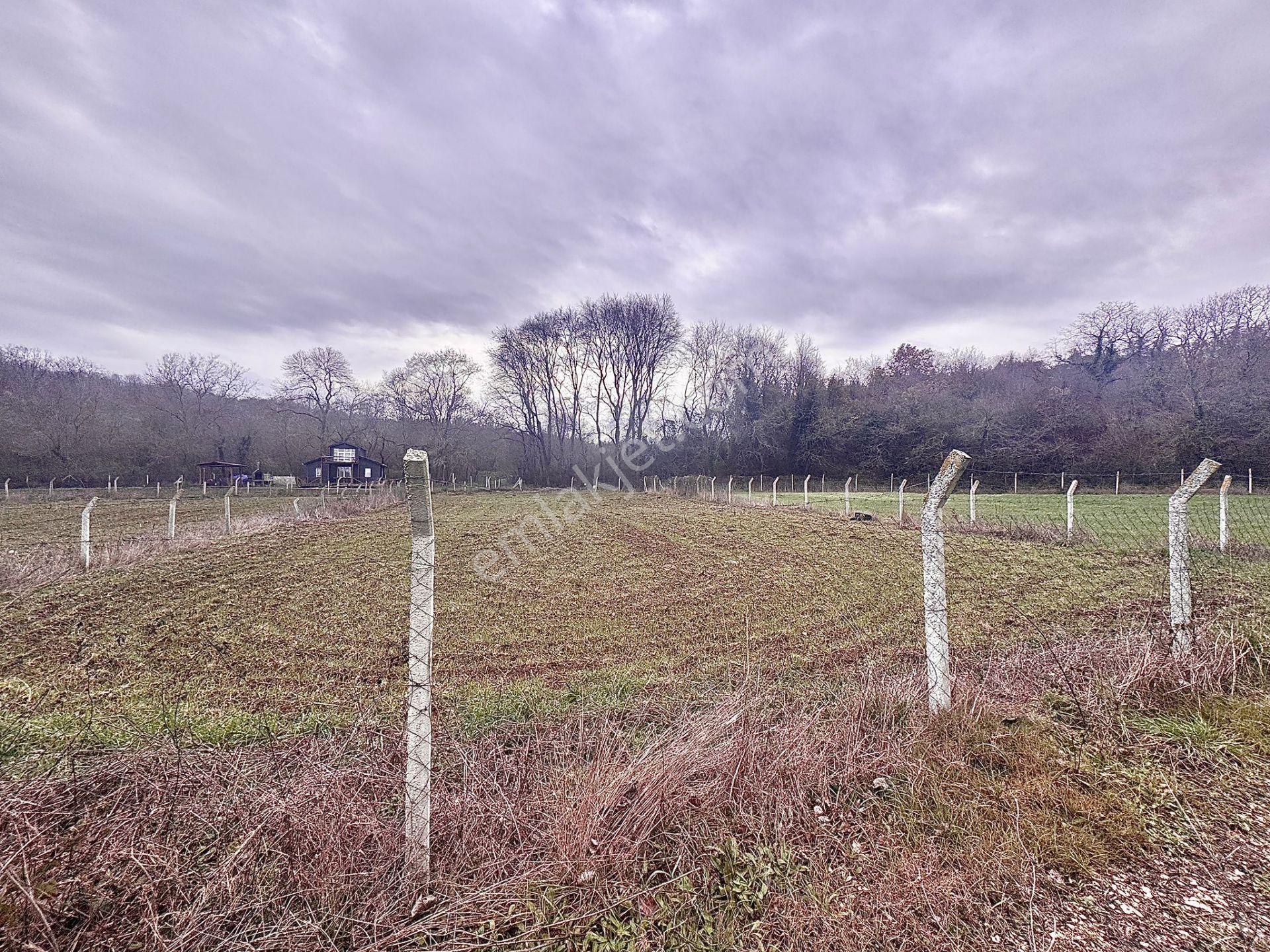 Goldhouse Dan Satılık Dağyenice De 1537m2 Arsa — fotoğraf 4