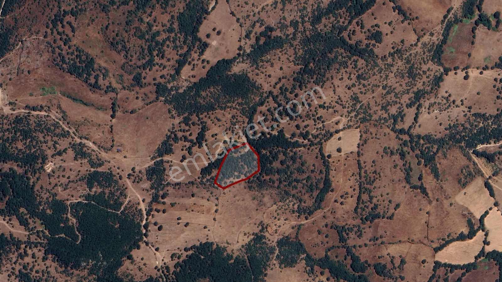 Normdan Balıkesir Balya Göktepede 5.252 M² Satılık Tarla — fotoğraf 8