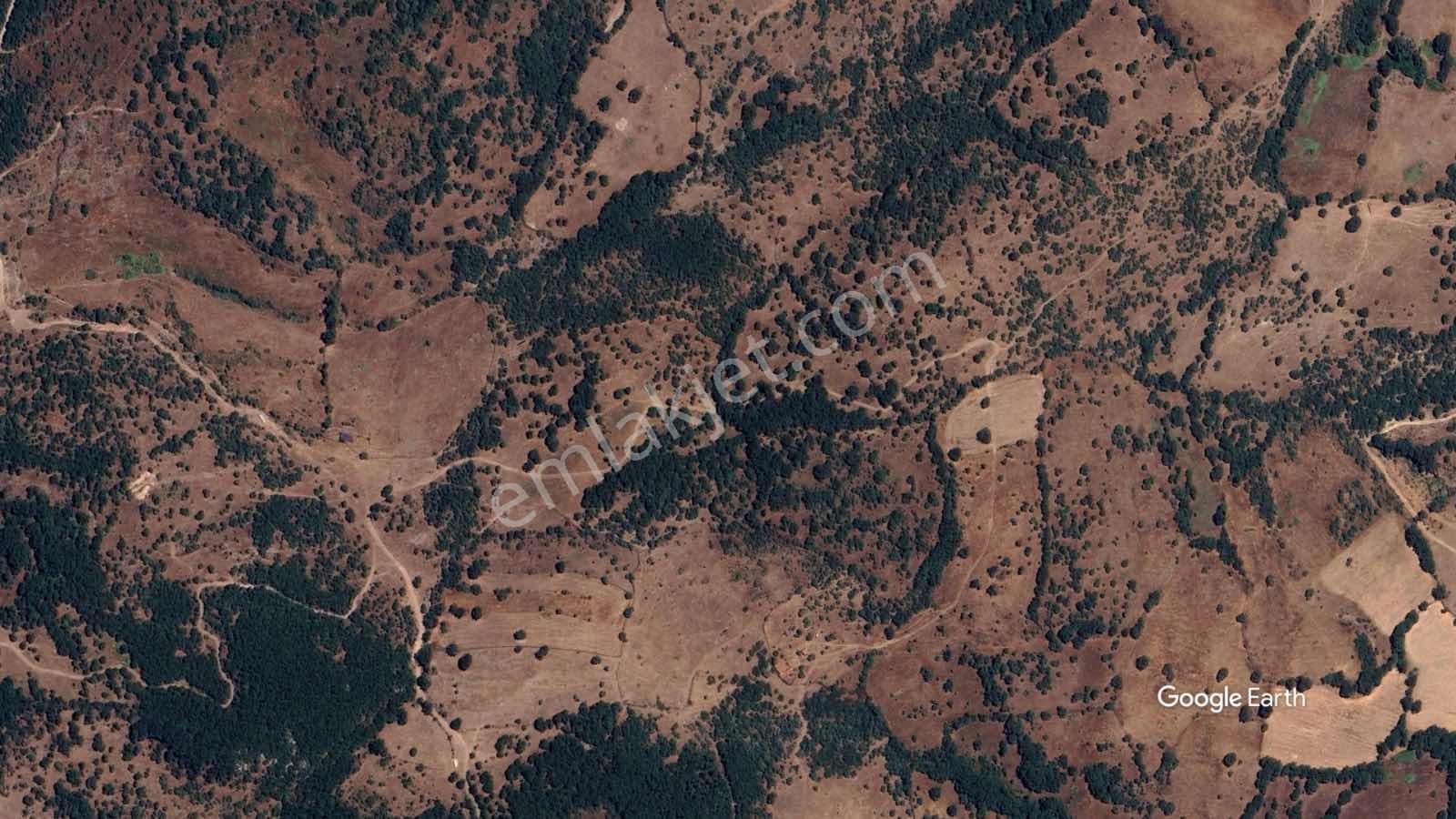 Normdan Balıkesir Balya Göktepede 5.252 M² Satılık Tarla — fotoğraf 10
