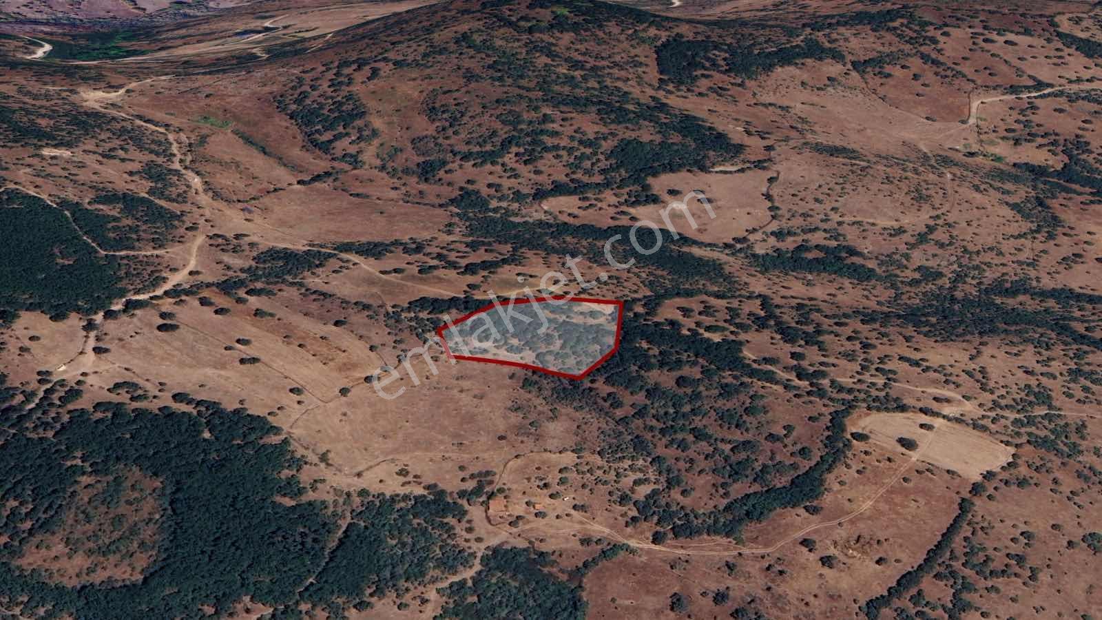 Normdan Balıkesir Balya Göktepede 5.252 M² Satılık Tarla — fotoğraf 11
