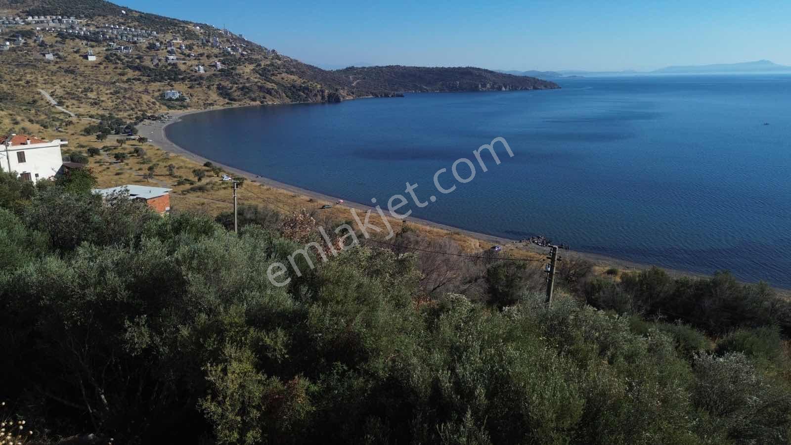 Çandarlıda Denize Çok Yakın Konumda Villa İmarlı Satılık Arsa — fotoğraf 3