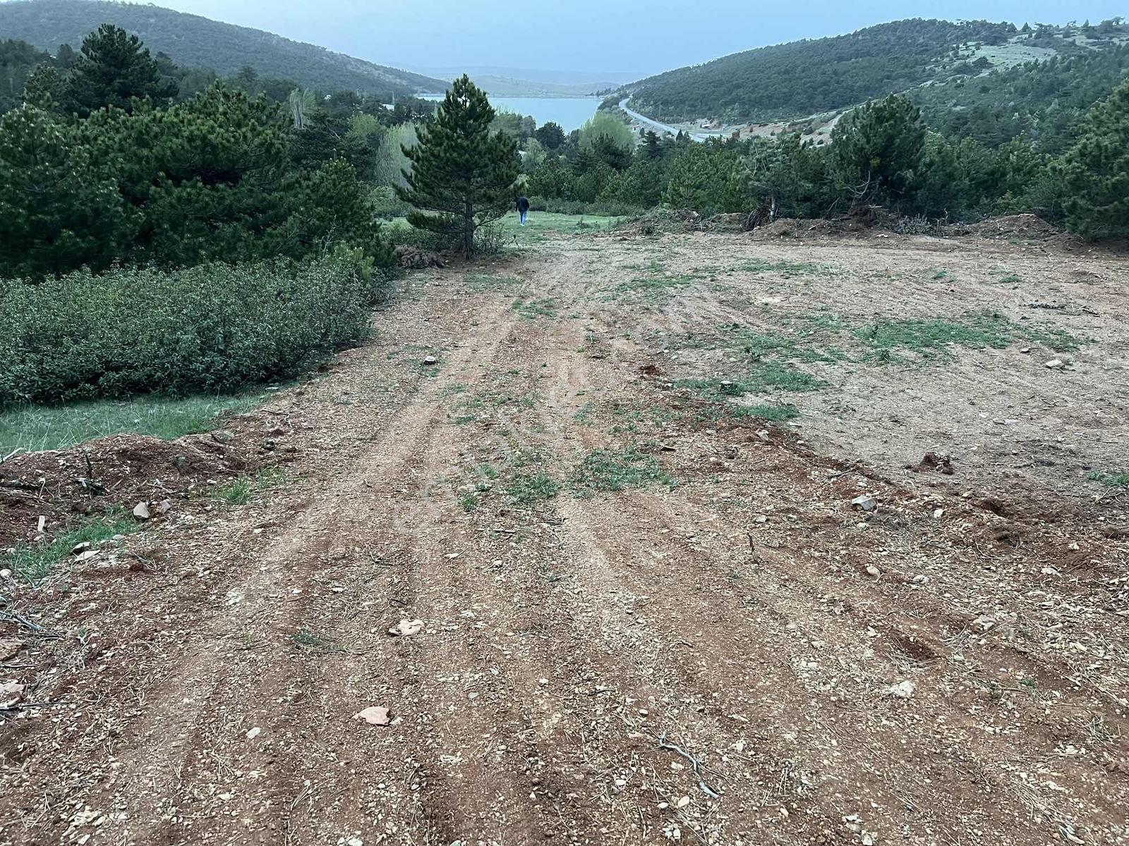Net Emlaktan Kestelde Göl Manzaralı Ormanın İçinde Bahçe Yeri — fotoğraf 4