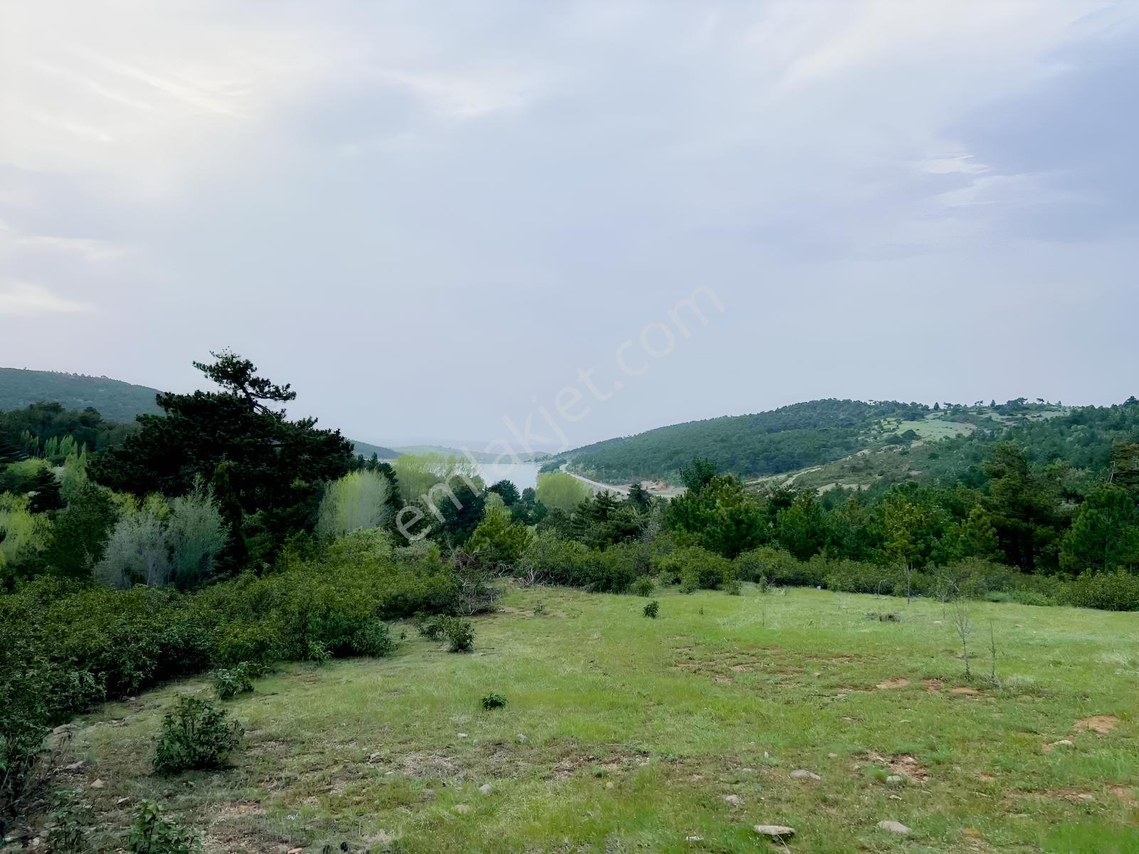 Net Emlaktan Kestelde Göl Manzaralı Ormanın İçinde Bahçe Yeri — fotoğraf 8