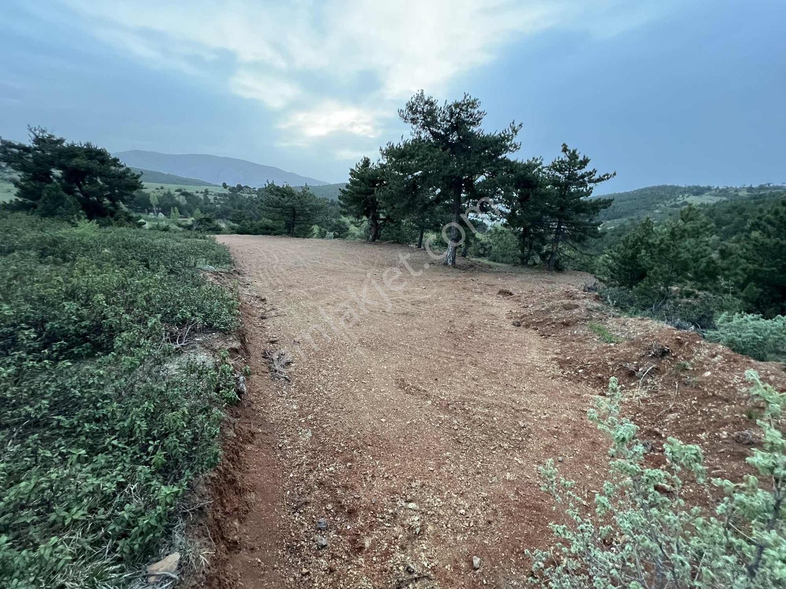 Net Emlaktan Kestelde Göl Manzaralı Ormanın İçinde Bahçe Yeri — fotoğraf 9