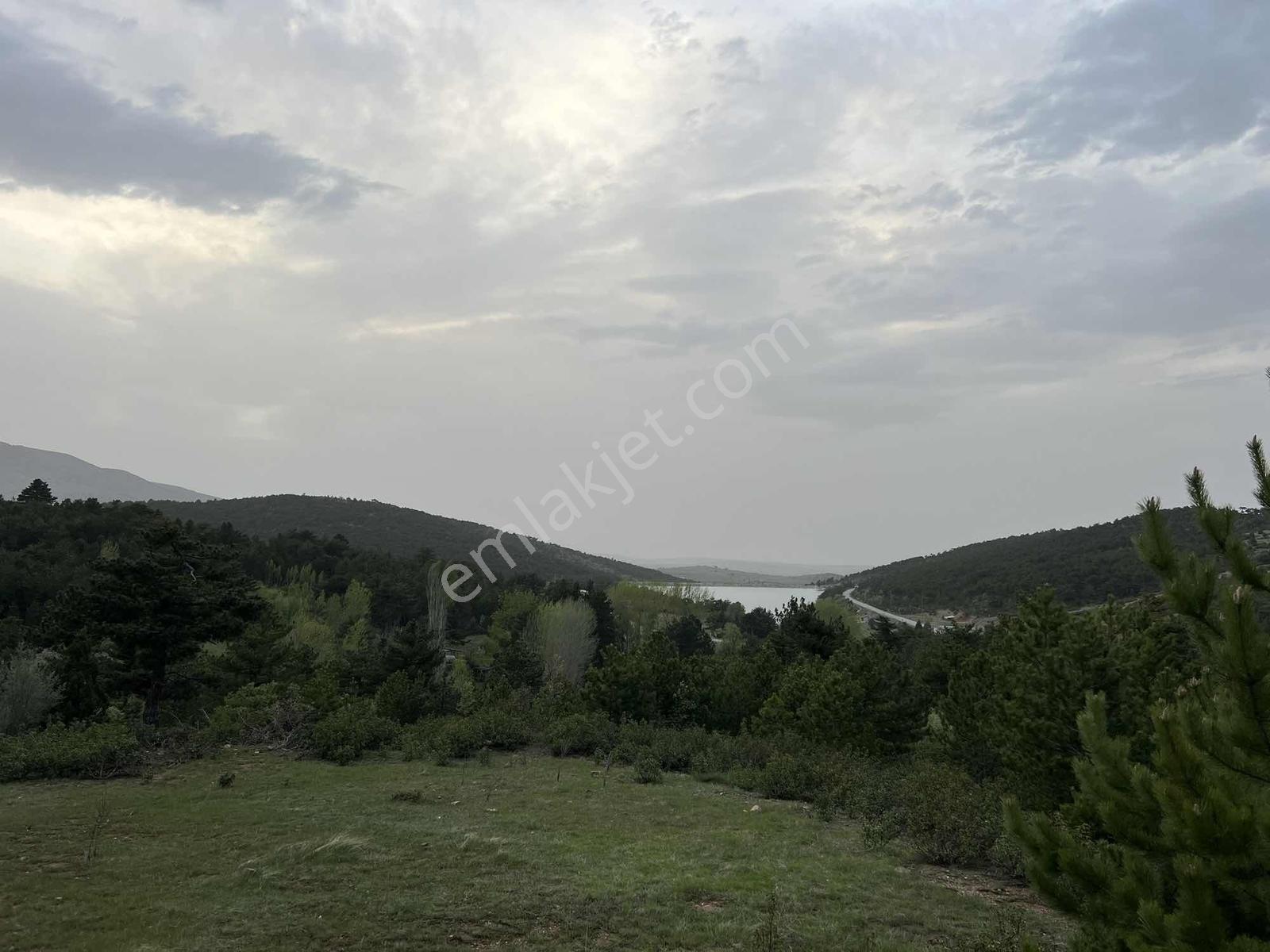 Net Emlaktan Kestelde Göl Manzaralı Ormanın İçinde Bahçe Yeri — fotoğraf 10