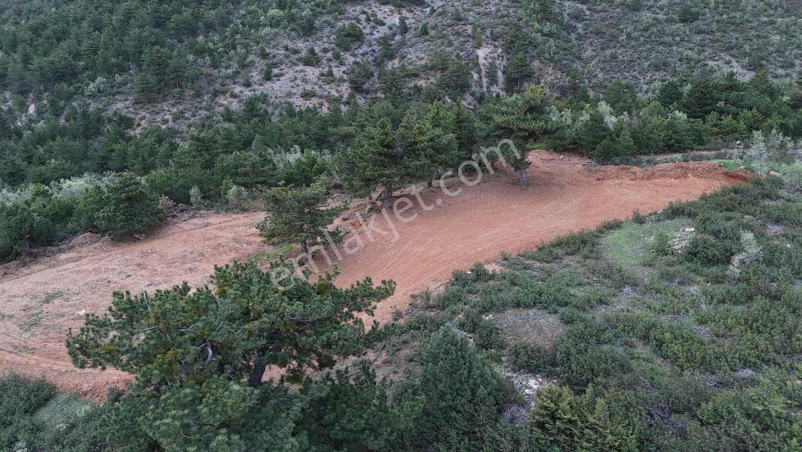 Net Emlaktan Kestelde Göl Manzaralı Ormanın İçinde Bahçe Yeri — fotoğraf 11