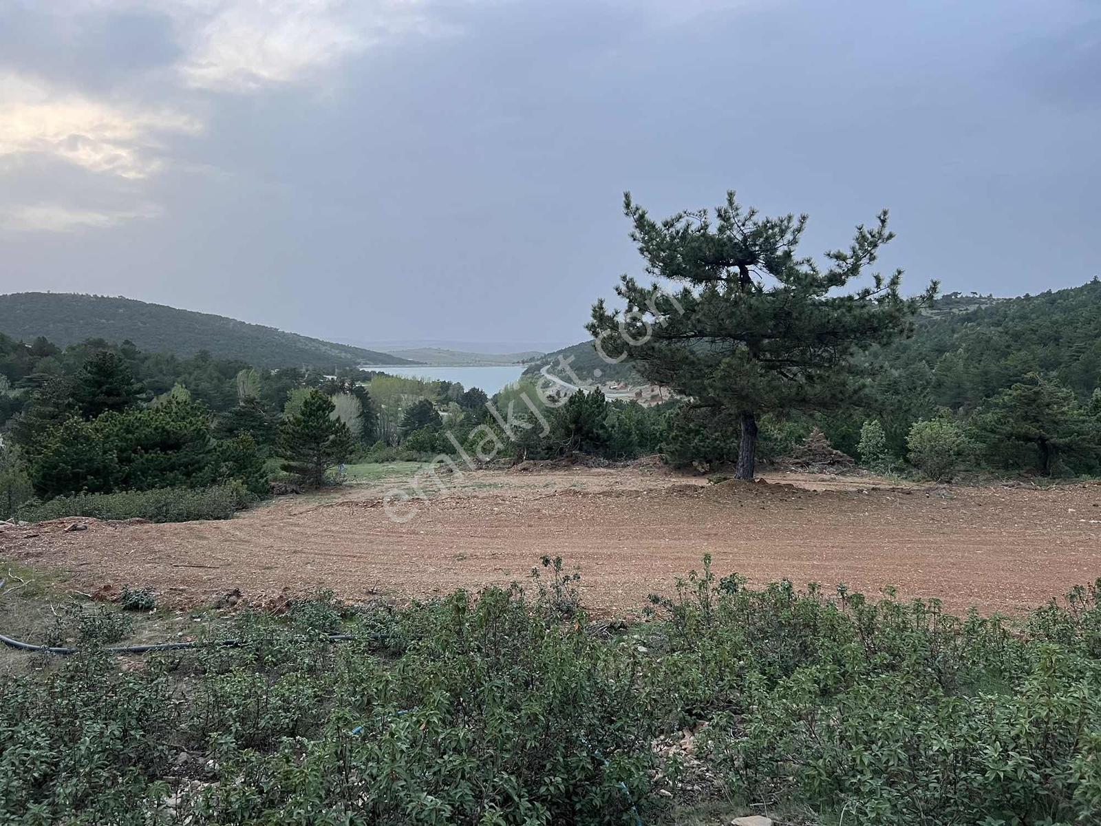 Net Emlaktan Kestelde Göl Manzaralı Ormanın İçinde Bahçe Yeri — fotoğraf 16