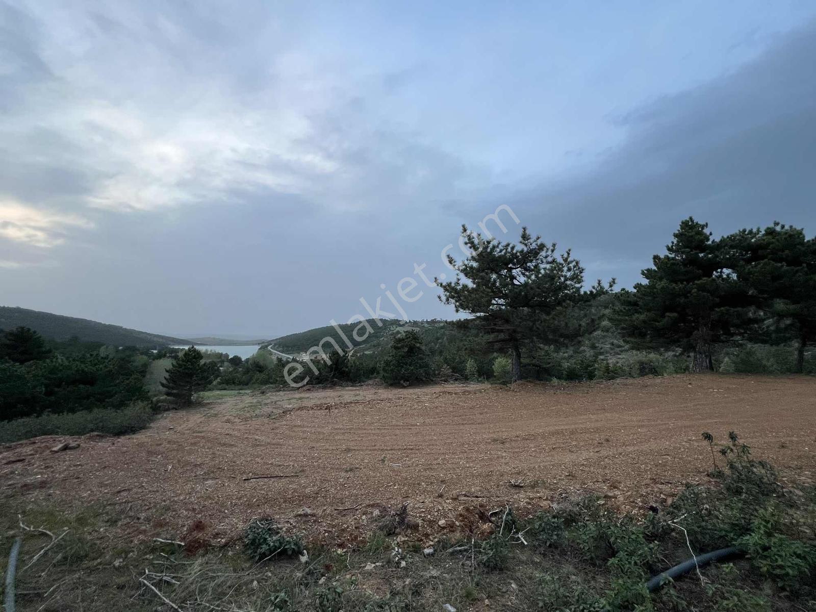 Net Emlaktan Kestelde Göl Manzaralı Ormanın İçinde Bahçe Yeri — fotoğraf 18