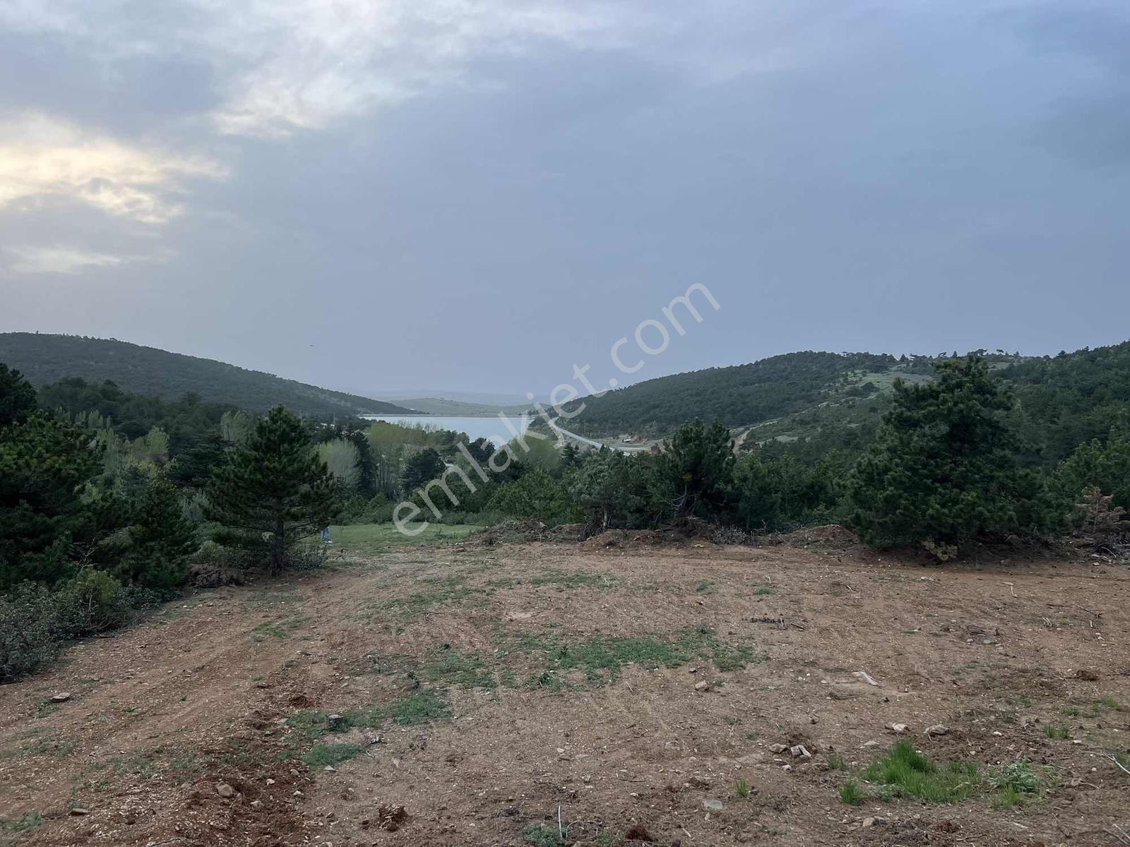 Net Emlaktan Kestelde Göl Manzaralı Ormanın İçinde Bahçe Yeri — fotoğraf 19
