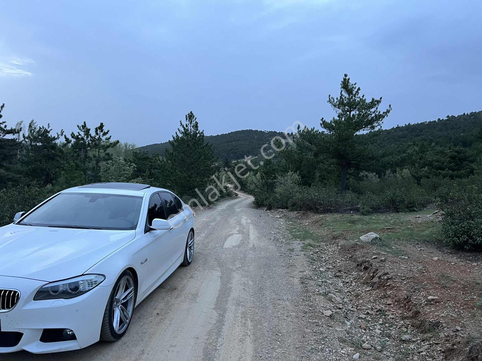 Net Emlaktan Kestelde Göl Manzaralı Ormanın İçinde Bahçe Yeri — fotoğraf 22