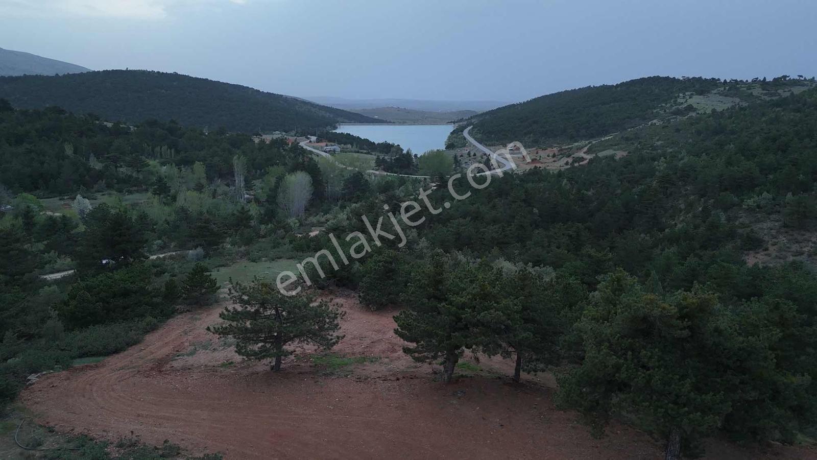 Net Emlaktan Kestelde Göl Manzaralı Ormanın İçinde Bahçe Yeri — fotoğraf 24
