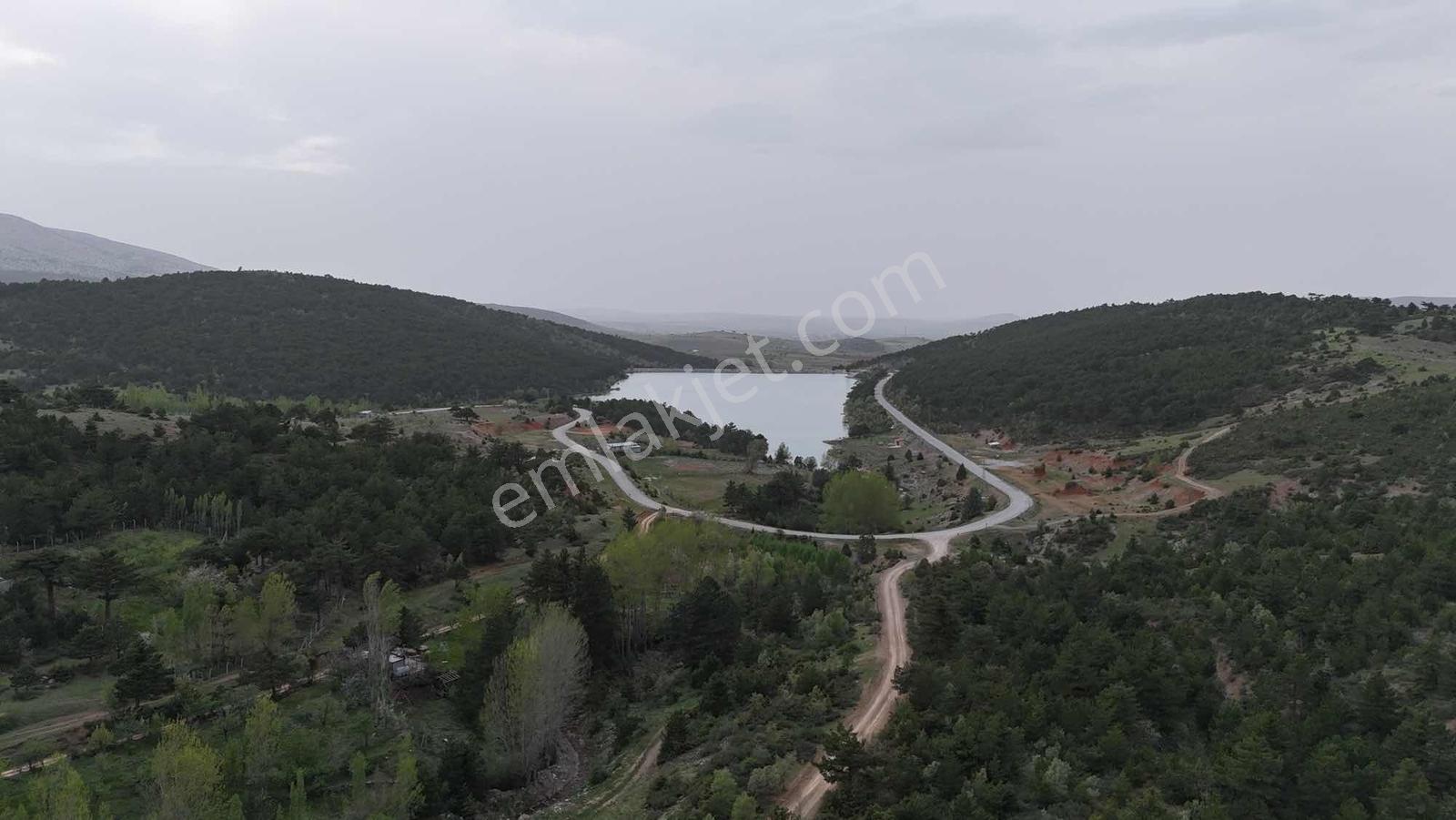 Net Emlaktan Kestelde Göl Manzaralı Ormanın İçinde Bahçe Yeri — fotoğraf 27