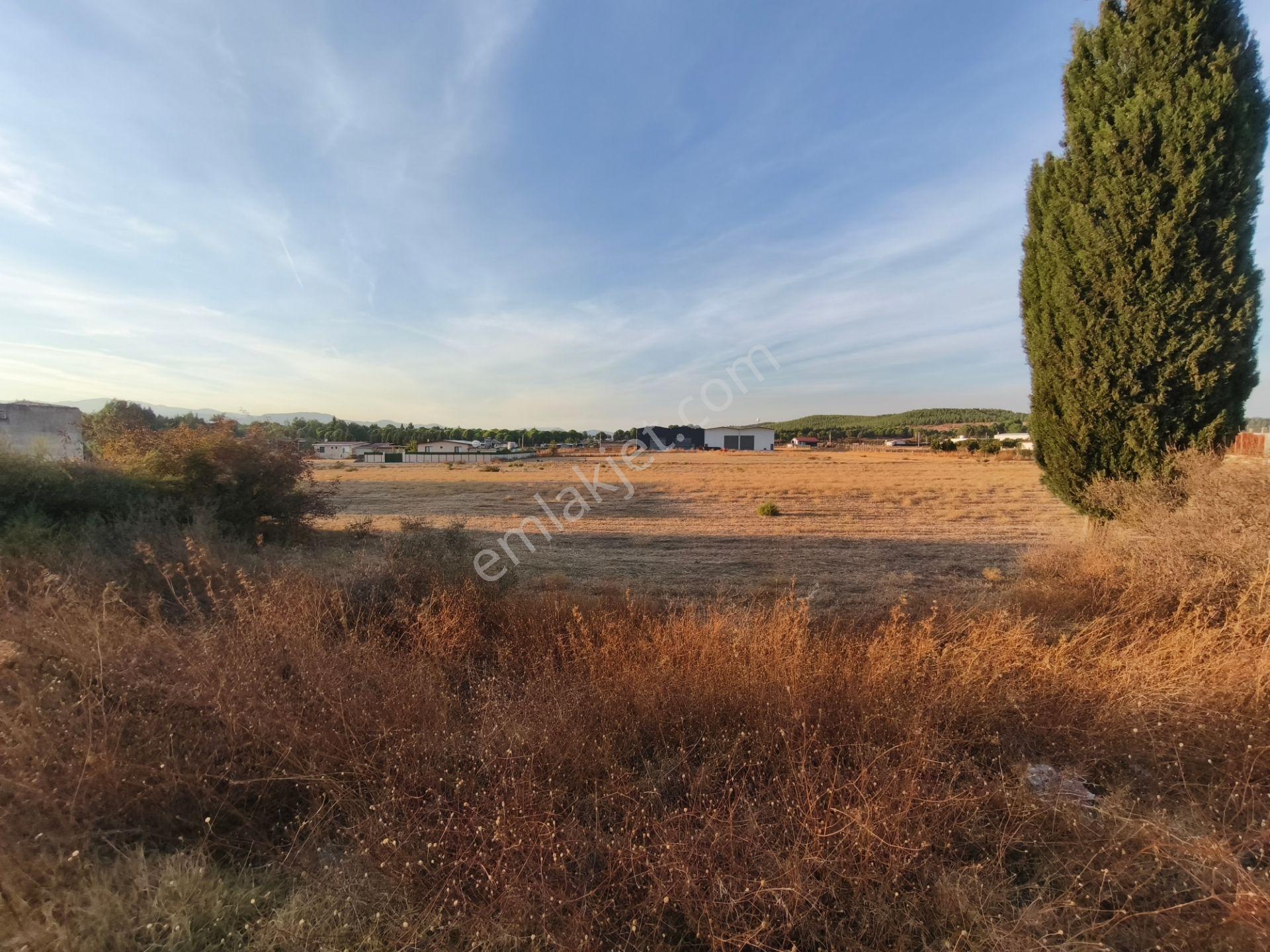 Menderes Kısık Mah Satılık 1.038 M² Müstakil Parsel Arsa — fotoğraf 10
