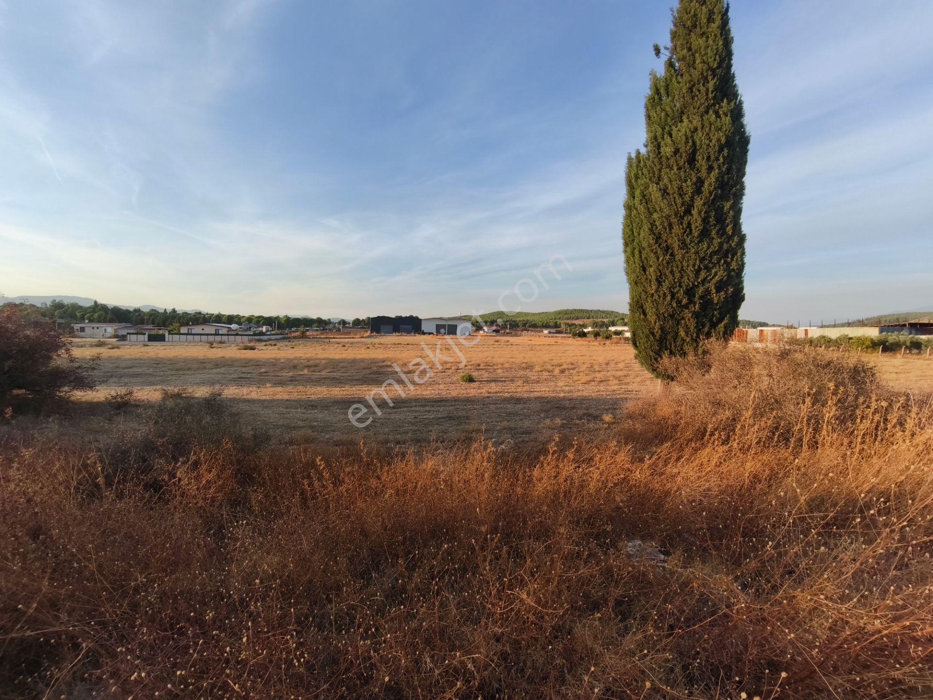 Menderes Kısık Mah Satılık 1.038 M² Müstakil Parsel Arsa — fotoğraf 11