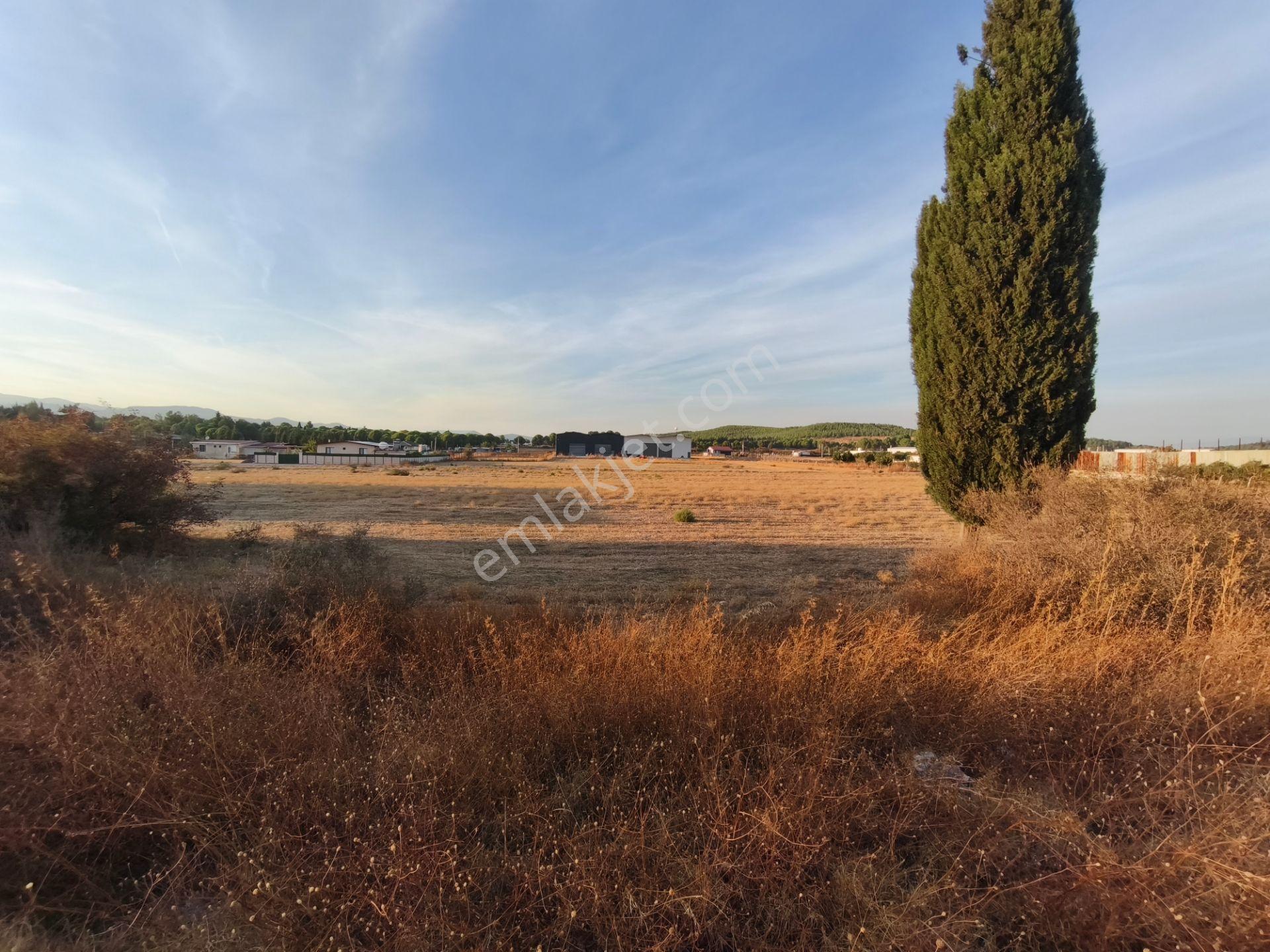 Menderes Kısık Mah Satılık 1.038 M² Müstakil Parsel Arsa — fotoğraf 12